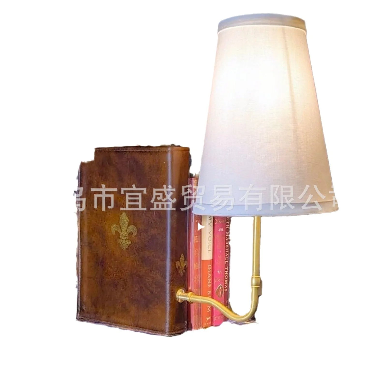 NovelLight™ Bookshelf Lamp: Vintage Charm & Warm Illumination